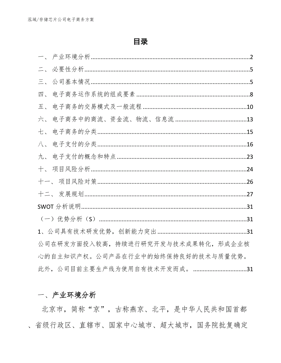 存储芯片公司电子商务方案_第2页