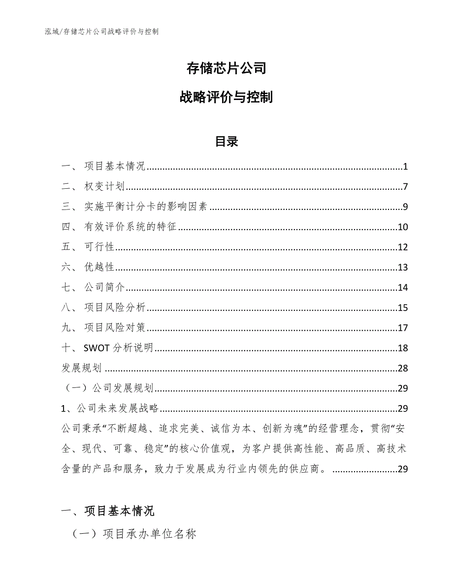 存储芯片公司战略评价与控制_第1页