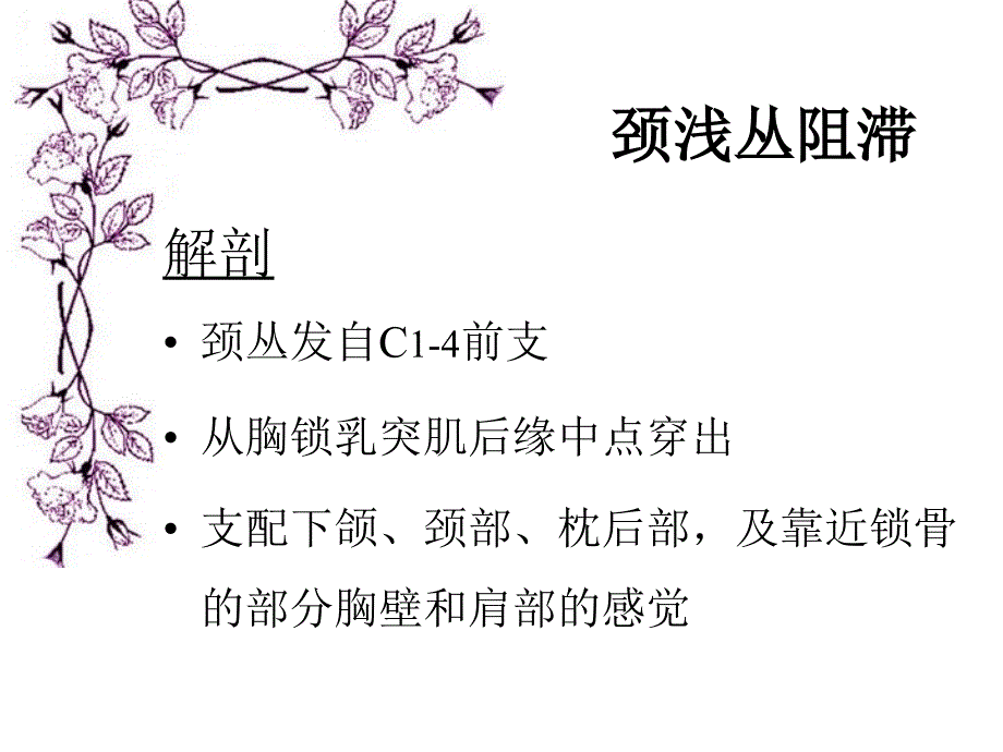 《躯干神经阻滞》PPT课件_第3页