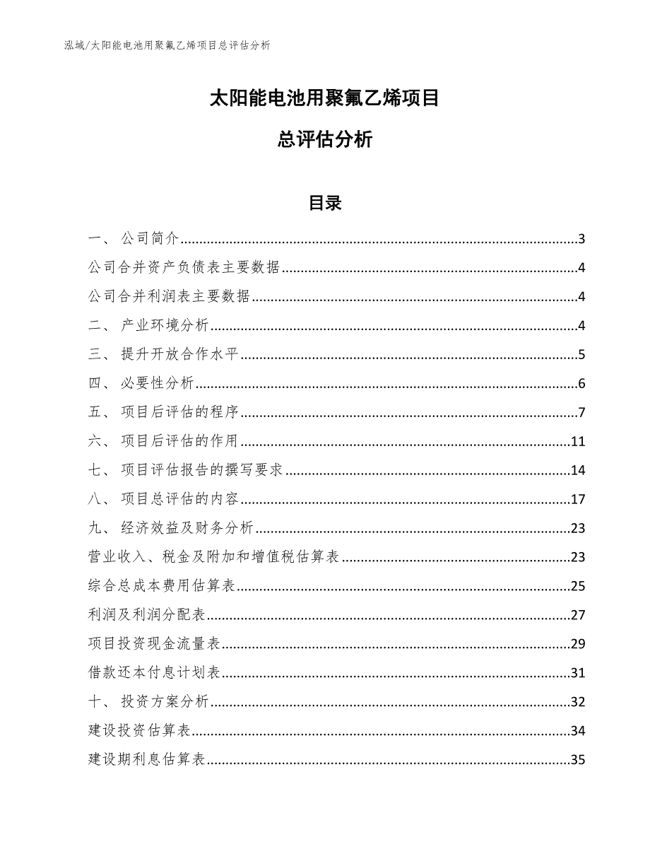 太阳能电池用聚氟乙烯项目总评估_第1页