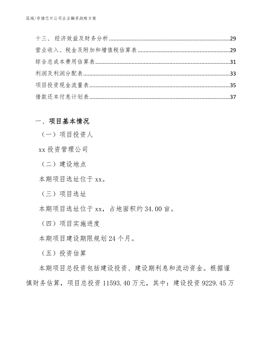 存储芯片公司企业融资战略方案_第2页