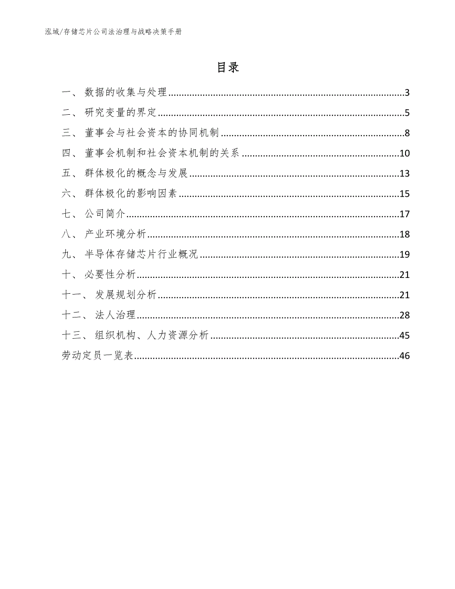 存储芯片公司法治理与战略决策手册【参考】_第2页