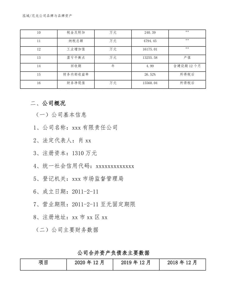 尼龙公司品牌与品牌资产_范文_第5页