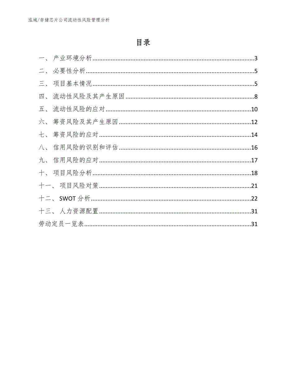 存储芯片公司流动性风险管理分析_范文_第2页