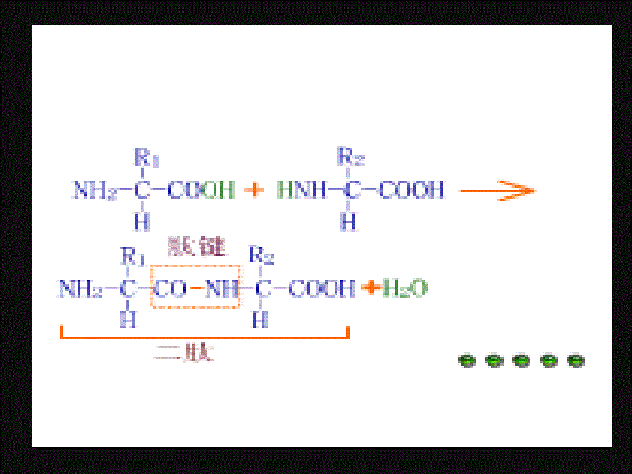 4.2基因对性状的控制ppt课件5_第1页