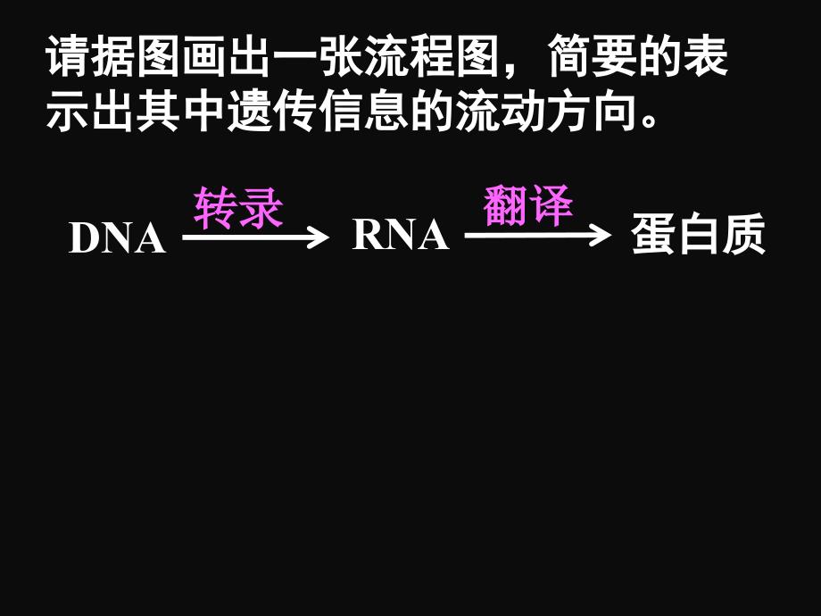 4.2基因对性状的控制ppt课件5_第3页