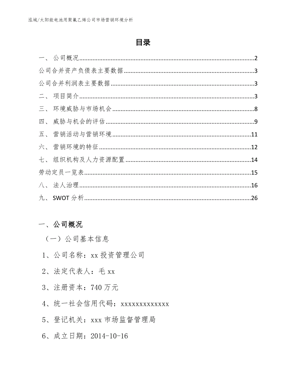 太阳能电池用聚氟乙烯公司市场营销环境分析_第2页