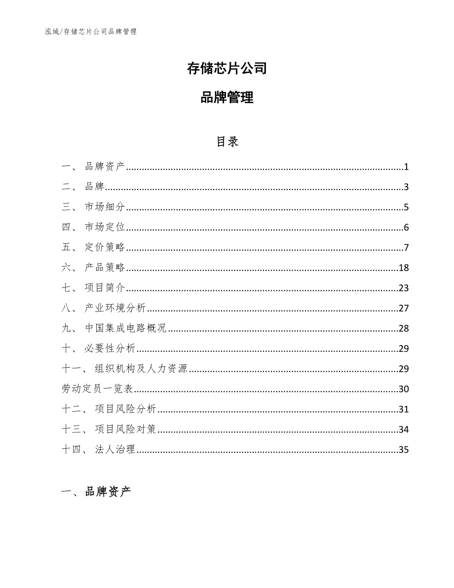 存储芯片公司品牌管理（范文）_第1页