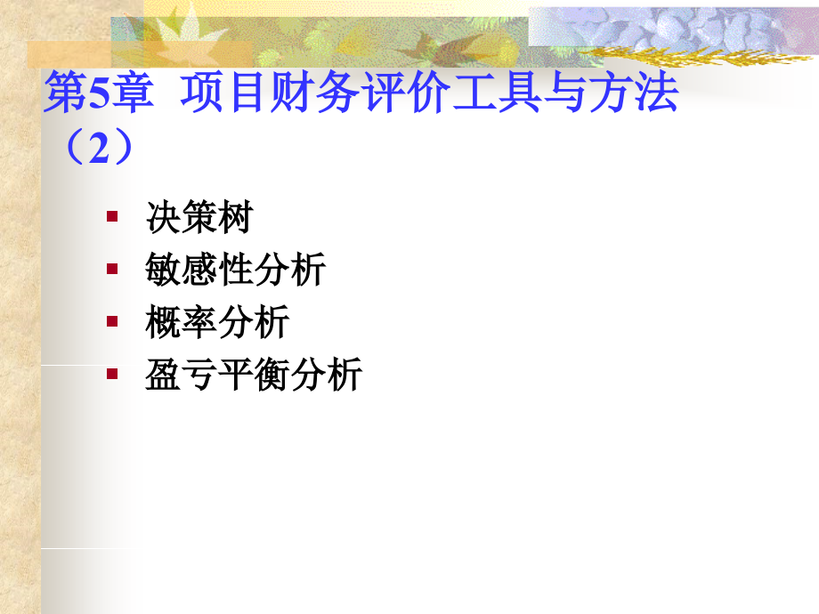 项目财务评价工具与方法2课件_第1页