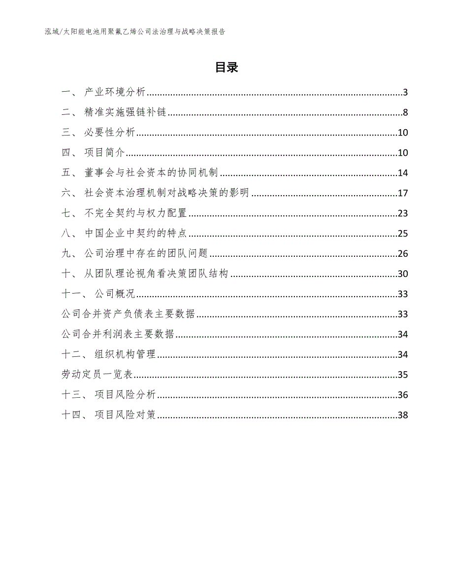 太阳能电池用聚氟乙烯公司法治理与战略决策报告_范文_第2页