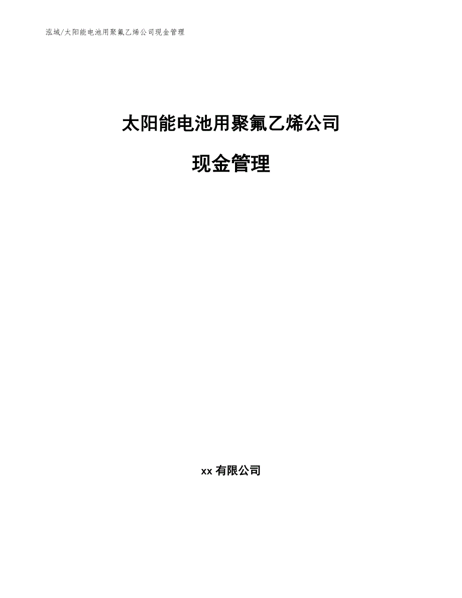 太阳能电池用聚氟乙烯公司现金管理_参考_第1页