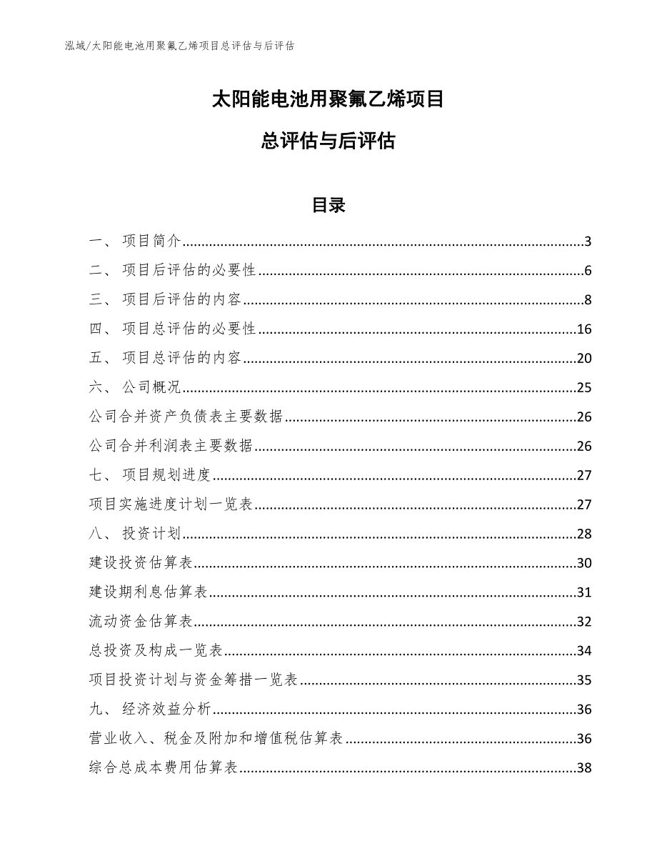 太阳能电池用聚氟乙烯项目总评估与后评估_参考_第1页