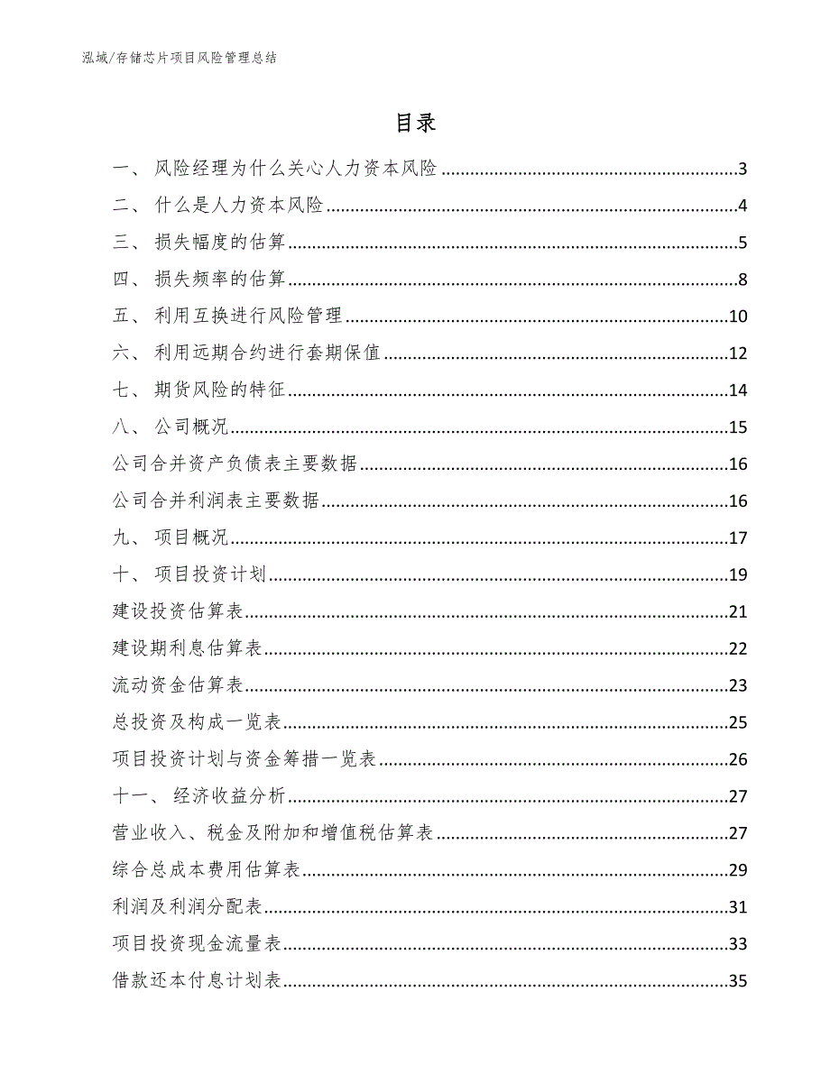 存储芯片项目风险管理总结【参考】_第2页