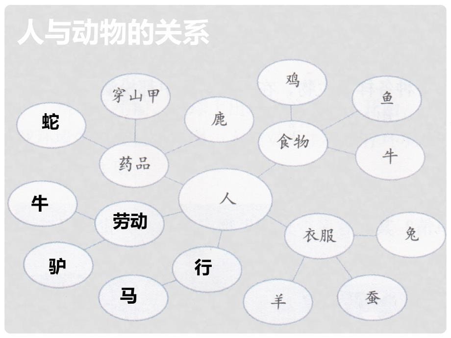 六年级科学上册 4.8 生物多样性的意义课件2 教科版_第5页