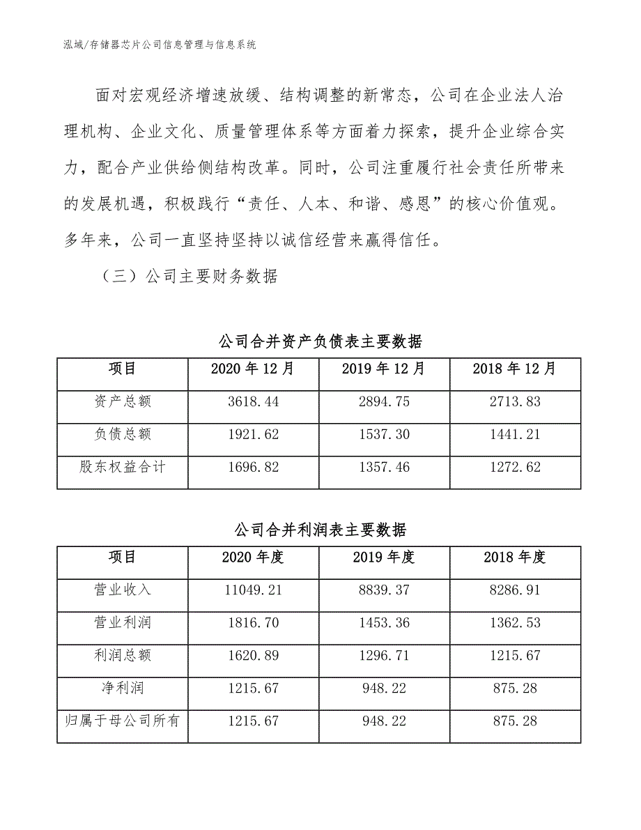 存储器芯片公司信息管理与信息系统_参考_第3页