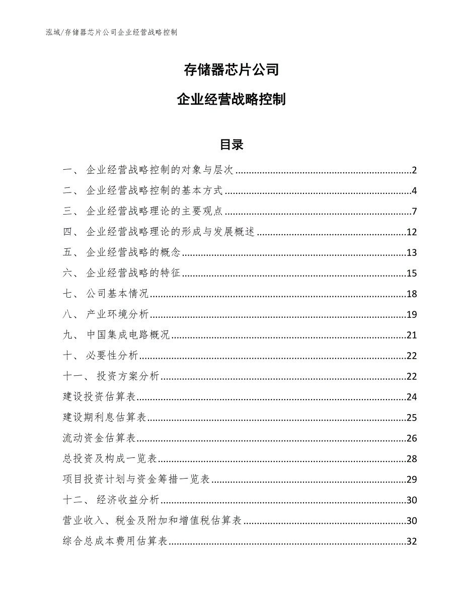 存储器芯片公司企业经营战略控制_第1页