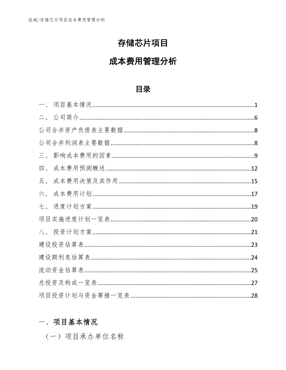 存储芯片项目成本费用管理分析_范文_第1页