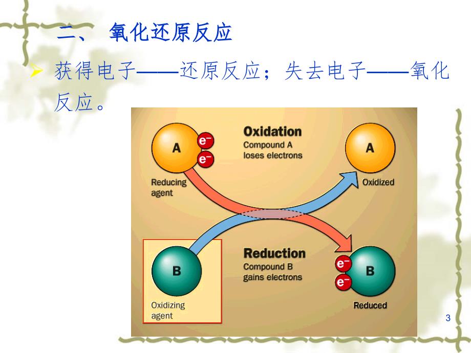 呼吸作用讲PPT课件_第3页