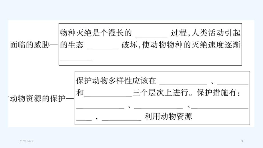 我国的动物资源及保护_第3页