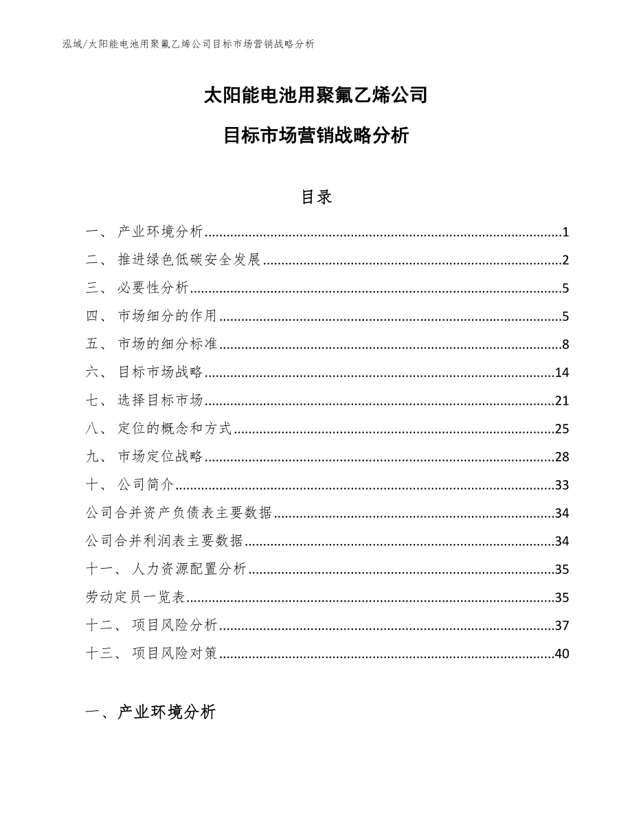 太阳能电池用聚氟乙烯公司目标市场营销战略分析_参考_第1页