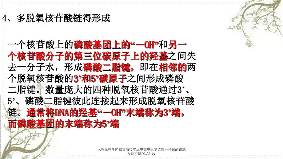 人教版教学内蒙古海拉尔三中高中生物选修一多聚酶链式反应扩增DNA片段_第2页