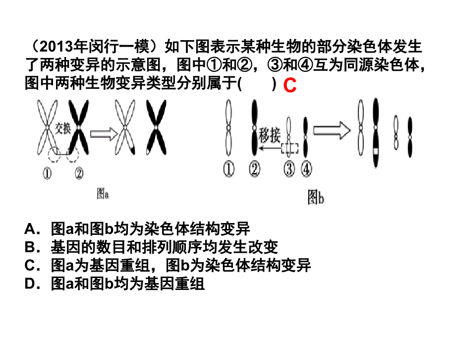 染色体变异15届高三复习课件_第2页