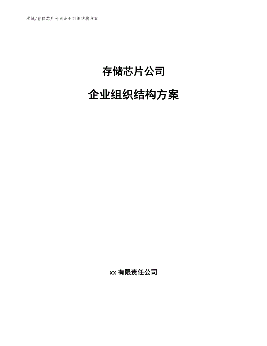 存储芯片公司企业组织结构方案【参考】_第1页