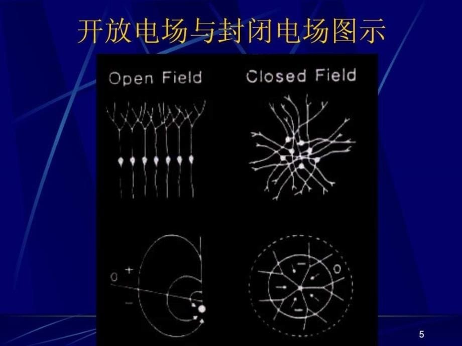 ERP入门基本知识_第5页