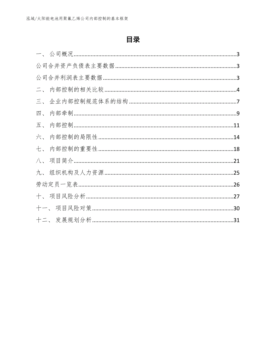 太阳能电池用聚氟乙烯公司内部控制的基本框架_范文_第2页