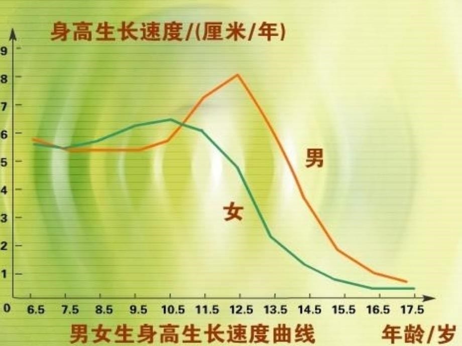 第八章中学生心理的发展_第5页