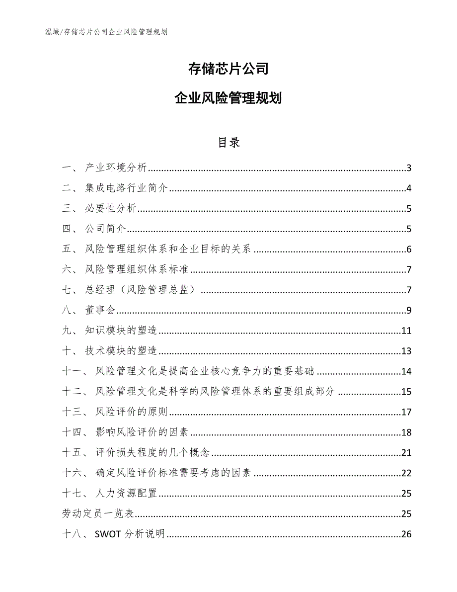 存储芯片公司企业风险管理规划_第1页