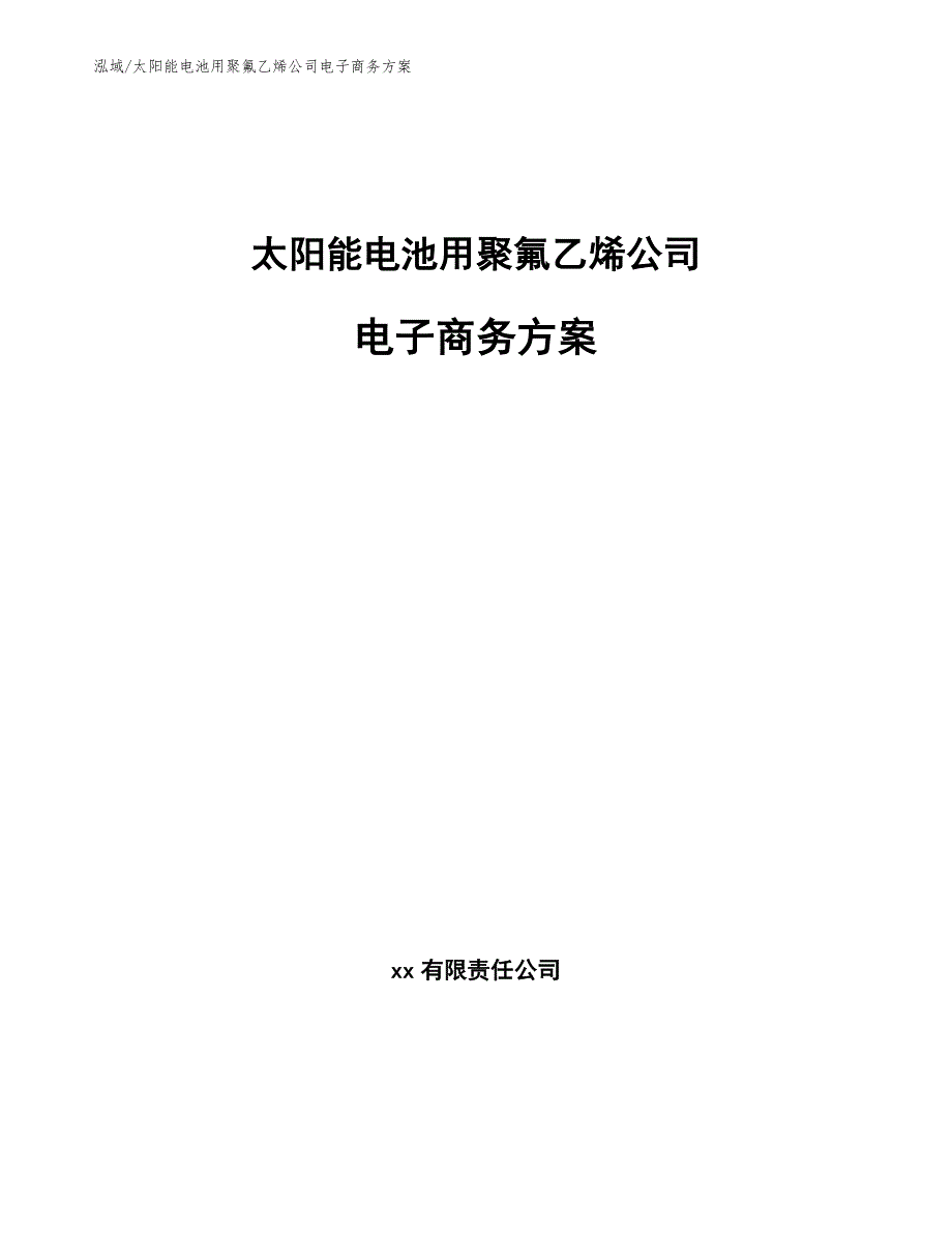 太阳能电池用聚氟乙烯公司电子商务方案【参考】_第1页