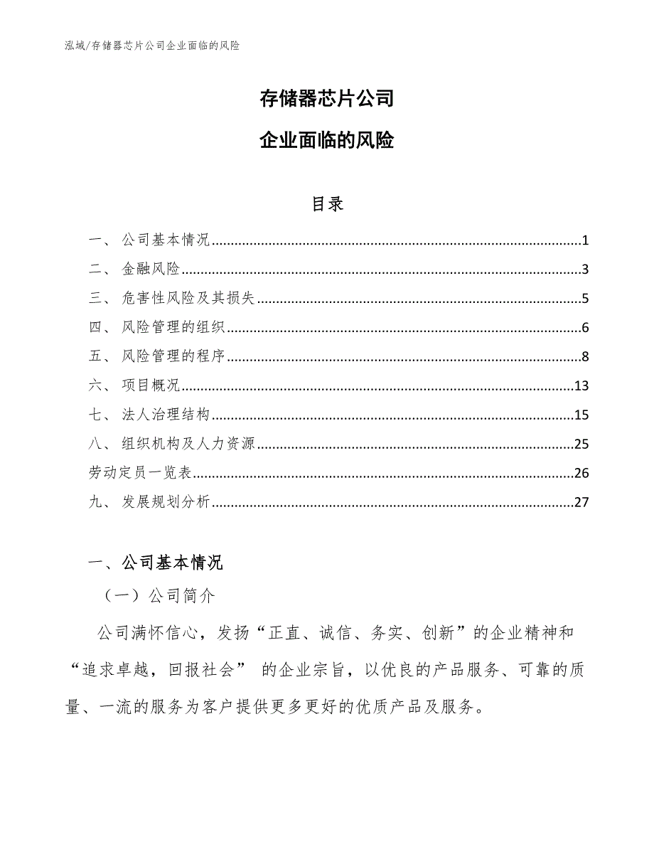 存储器芯片公司企业面临的风险_第1页