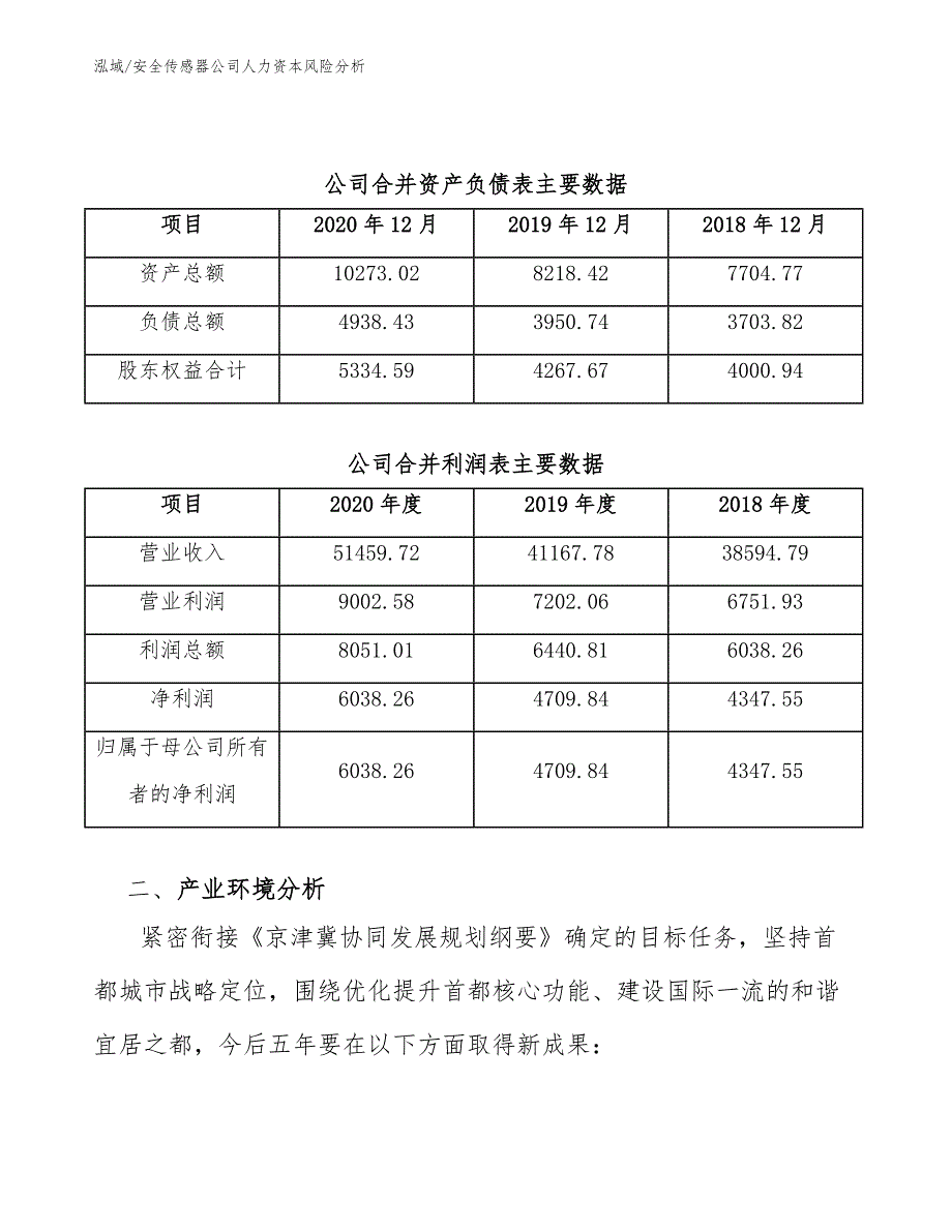 安全传感器公司人力资本风险分析（参考）_第4页