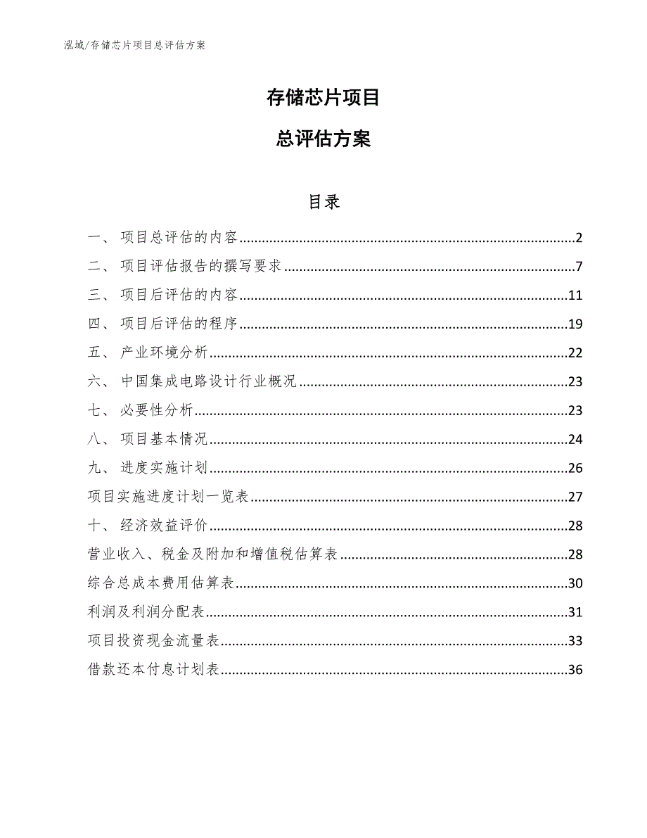 存储芯片项目总评估方案_参考_第1页