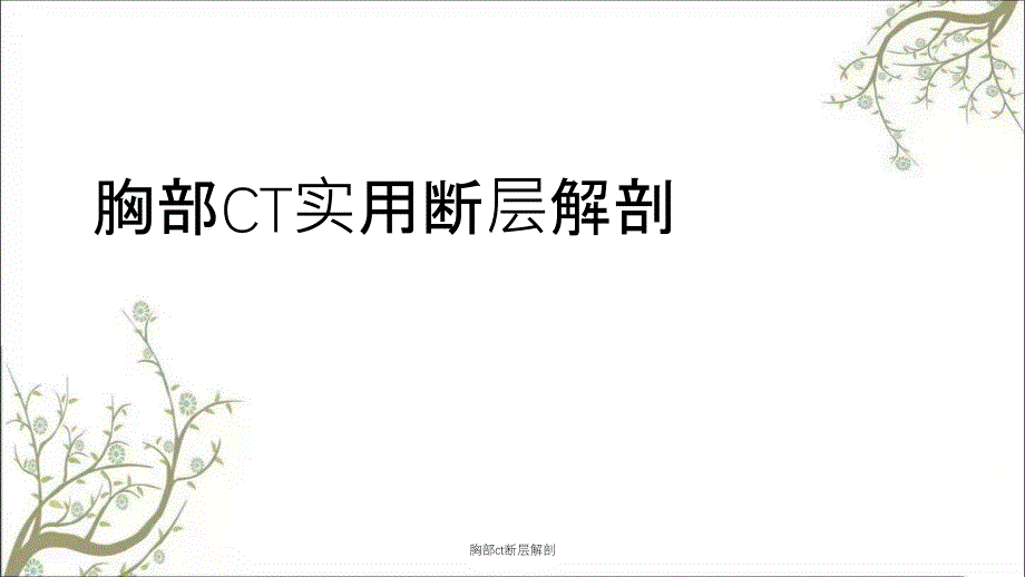 胸部ct断层解剖_第1页