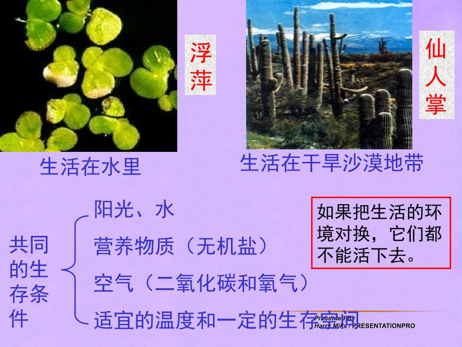 第一单元 第三章生物的生活环境 章复习课件35张PPT_第4页