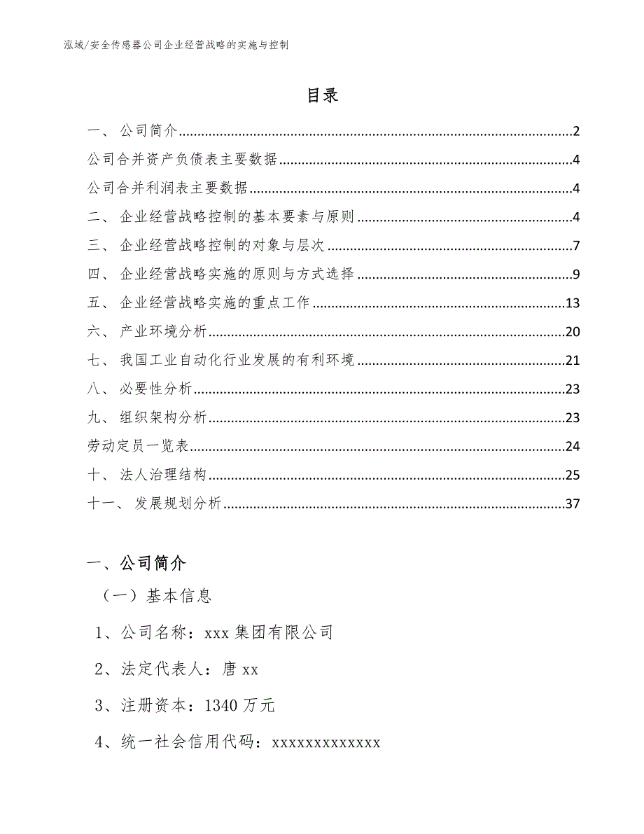 安全传感器公司企业经营战略的实施与控制（范文）_第2页