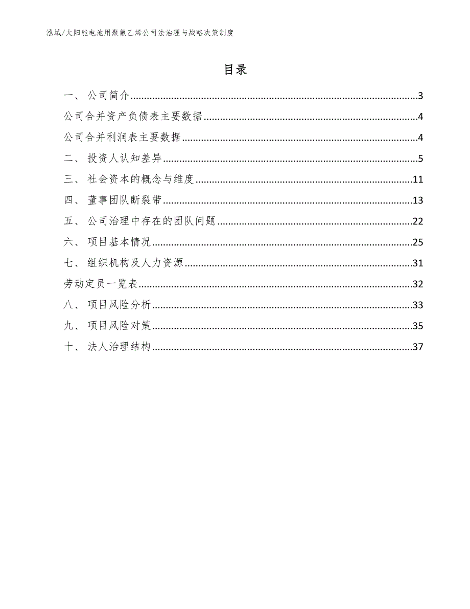 太阳能电池用聚氟乙烯公司法治理与战略决策制度（参考）_第2页