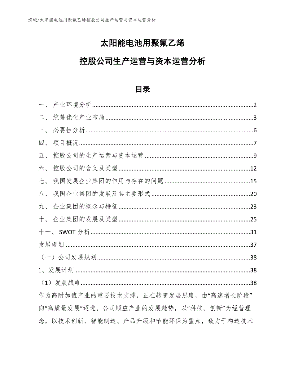 太阳能电池用聚氟乙烯控股公司生产运营与资本运营分析【参考】_第1页