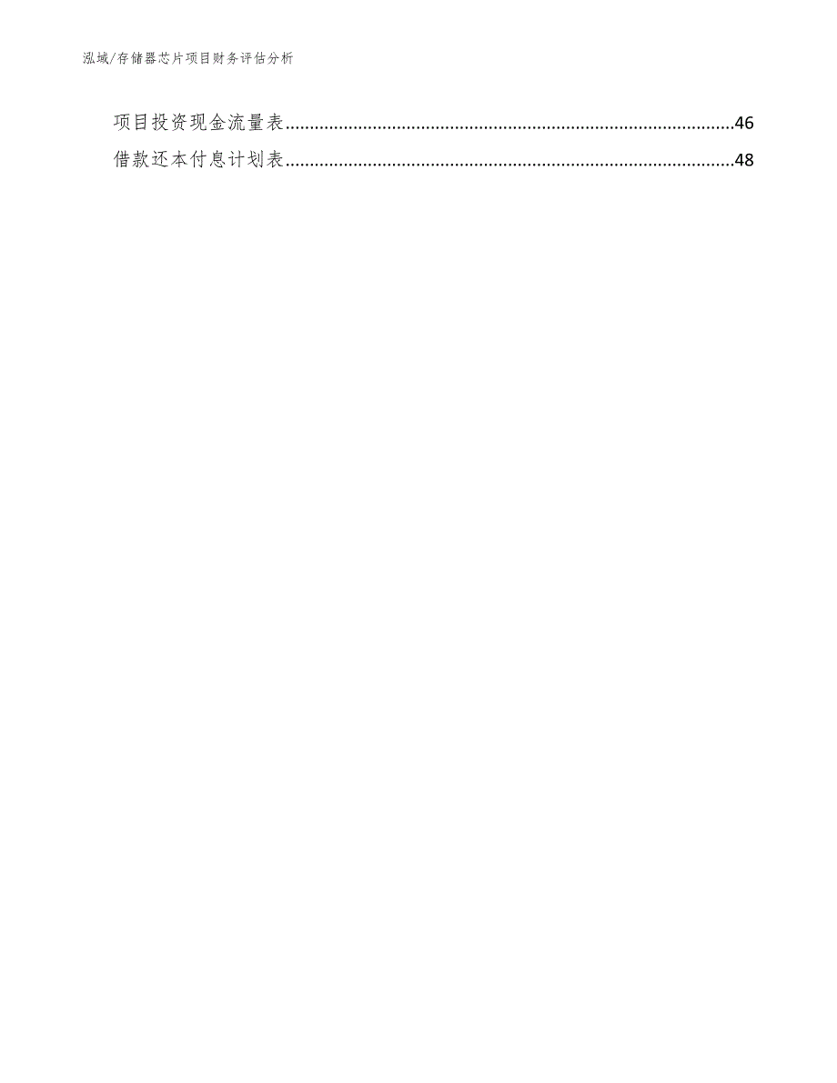 存储器芯片项目财务评估分析（参考）_第2页