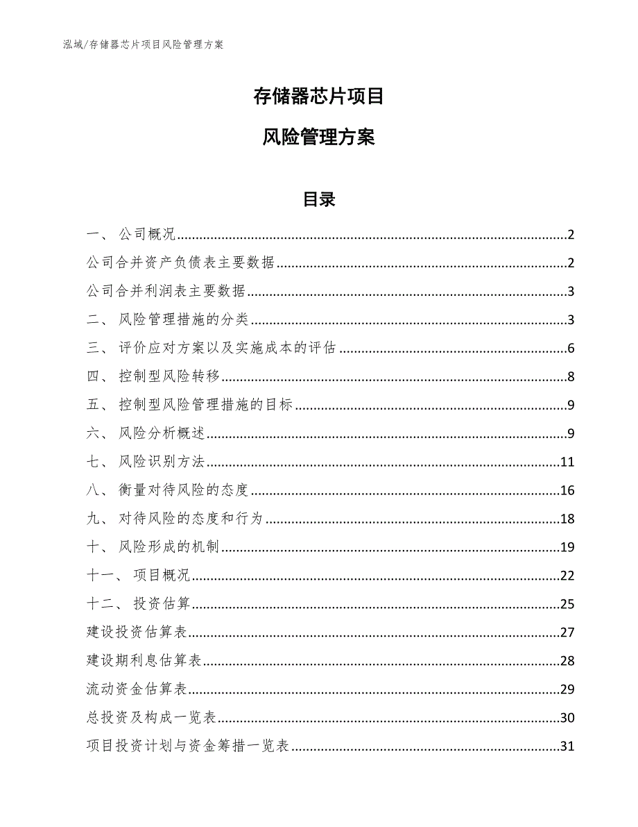 存储器芯片项目风险管理方案（范文）_第1页