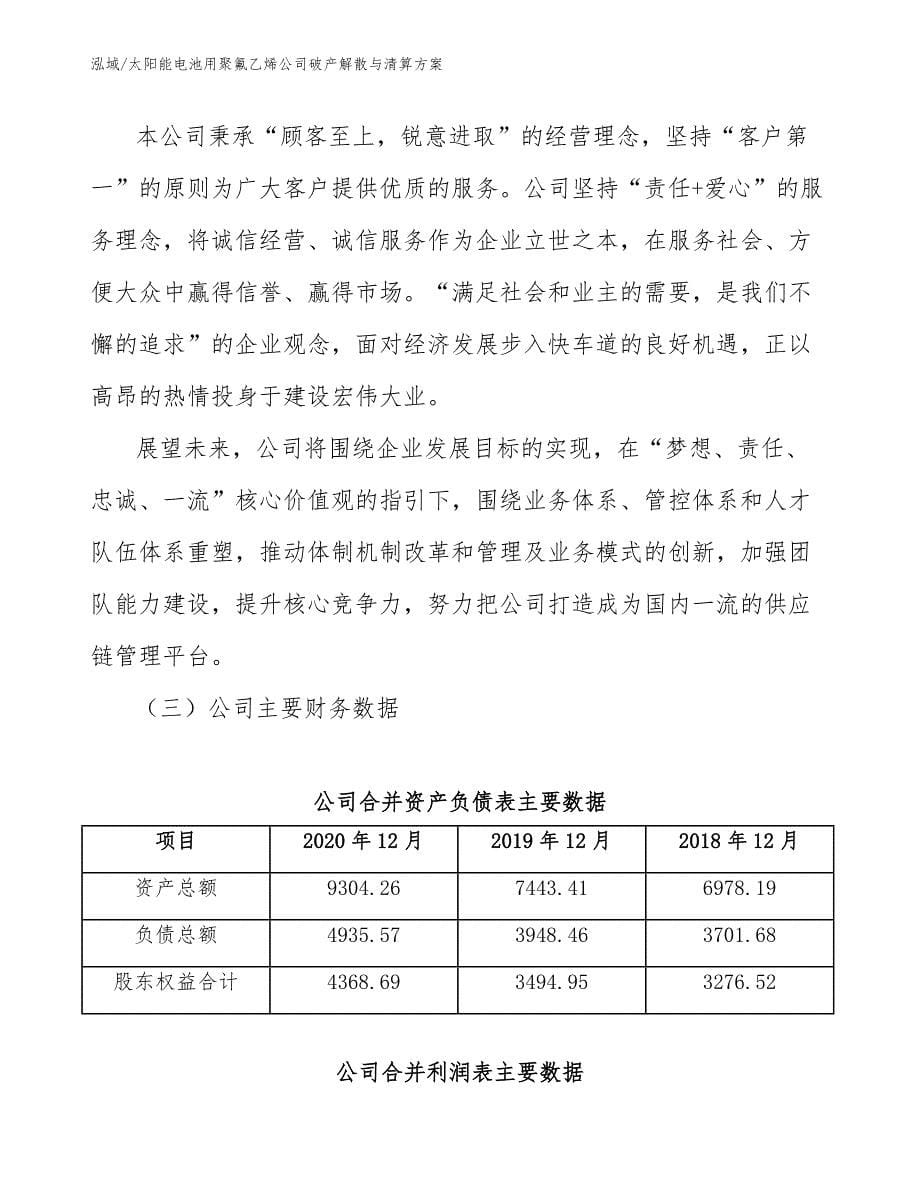 太阳能电池用聚氟乙烯公司破产解散与清算方案_参考_第5页