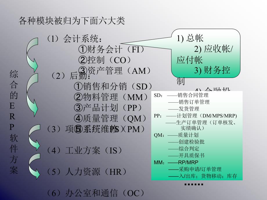 4884535374sap介绍_第2页