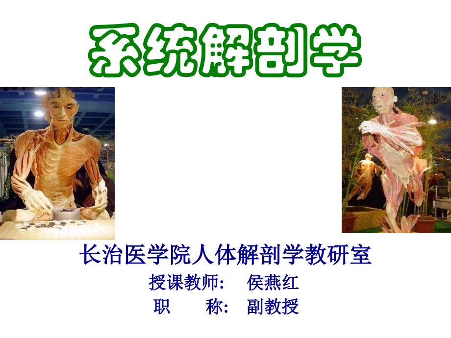 解剖学总论和骨学人体解剖学_第1页