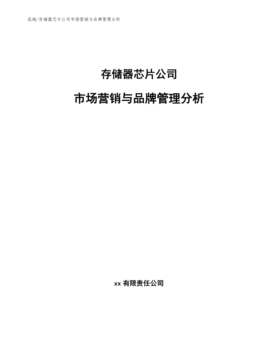 存储器芯片公司市场营销与品牌管理分析【范文】_第1页