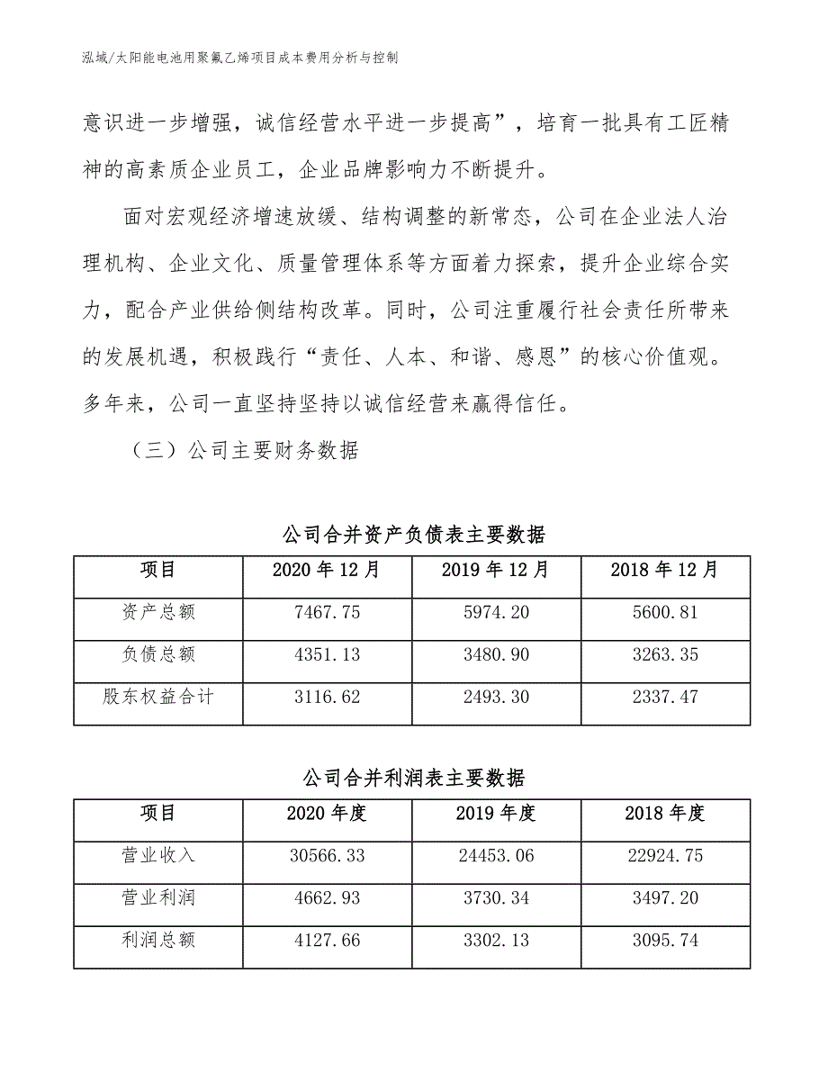 太阳能电池用聚氟乙烯项目成本费用分析与控制_第3页