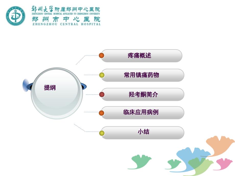 羟考酮ppt课件_第2页