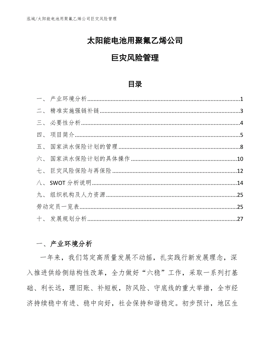 太阳能电池用聚氟乙烯公司巨灾风险管理【参考】_第1页