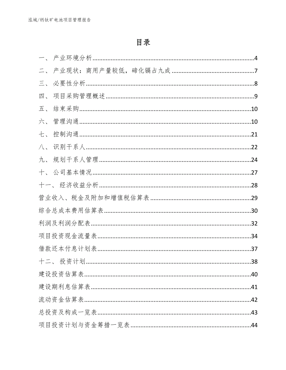 钙钛矿电池项目管理报告【范文】_第2页